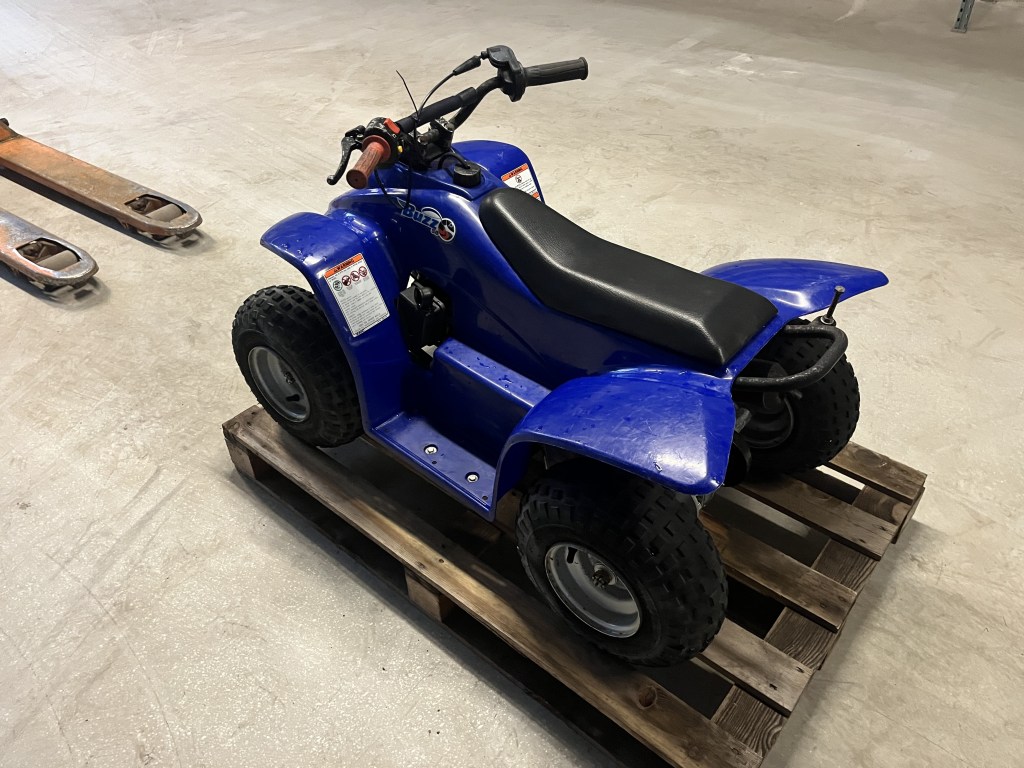 buzz 50cc quad te koop bij Jaap Verboon