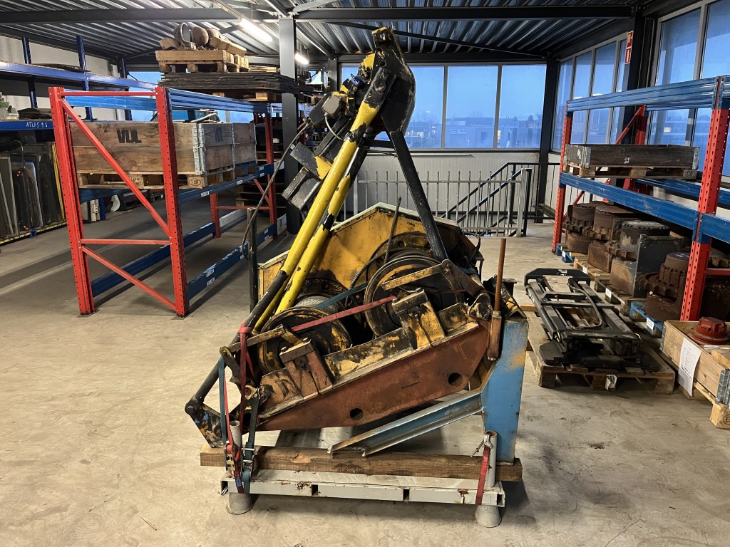 lier fuchs te koop bij Jaap Verboon